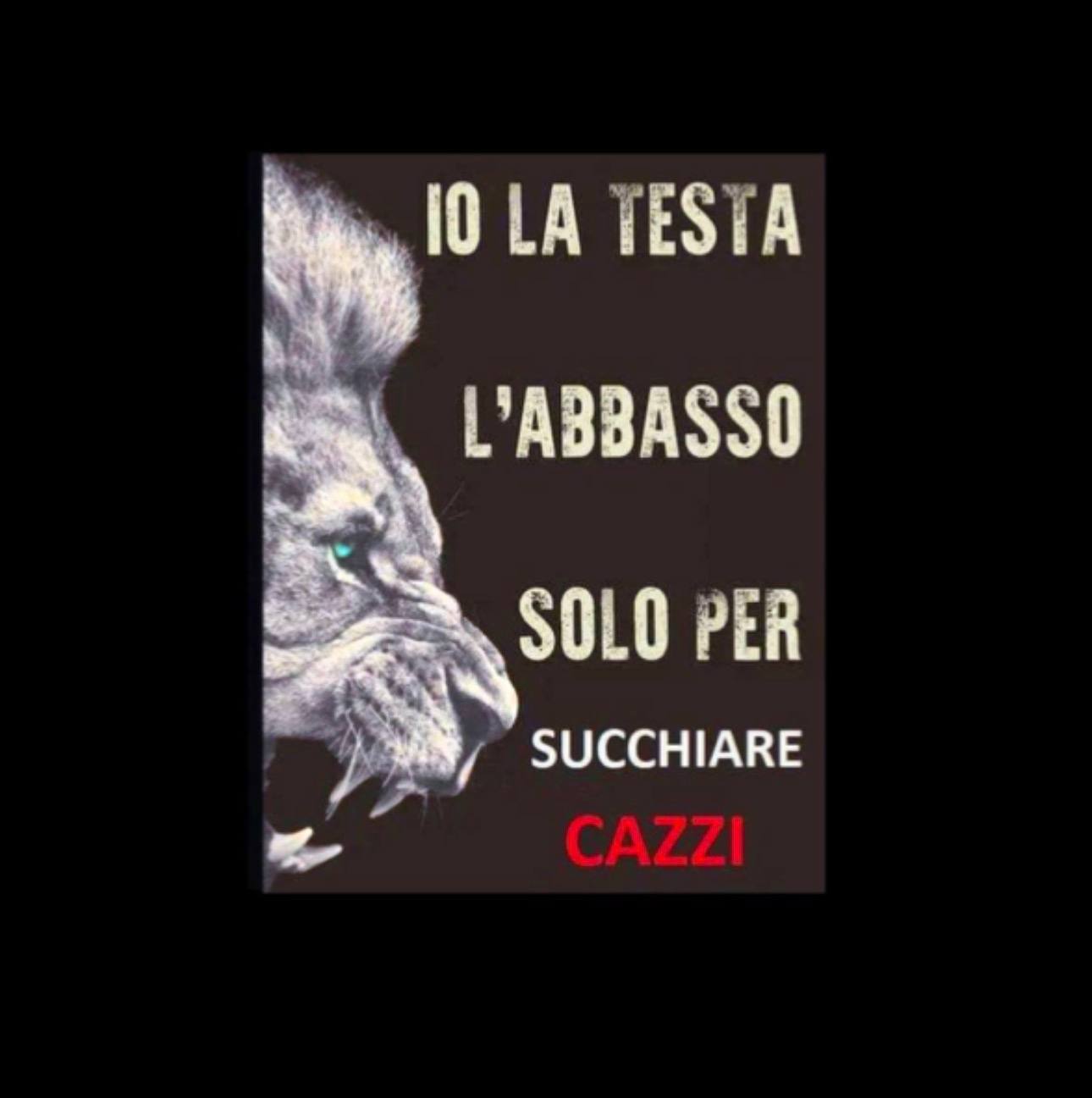 Dichiarazione di pace